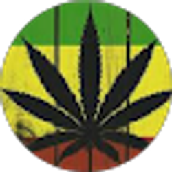 Profile photo of J Blaze