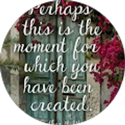 Profile photo of A J