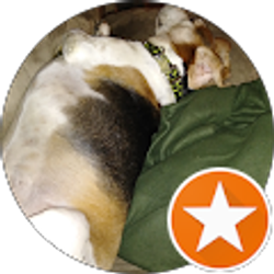 Profile photo of Dave Kohn