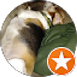 Profile photo of Dave Kohn