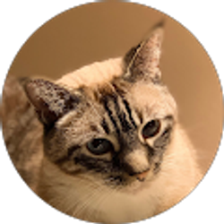 Profile photo of Joseph