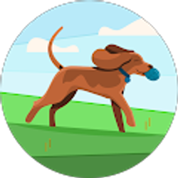 Profile photo of Alejandra Nieblas