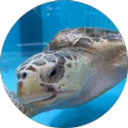 Profile photo of John Jarvis