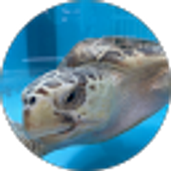 Profile photo of John Jarvis