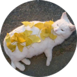 Profile photo of Claire Cronin