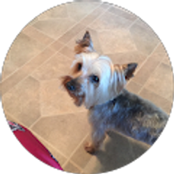 Profile photo of Ruth Monroe