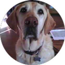 Profile photo of Jay Aliff