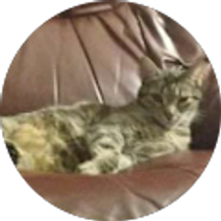 Profile photo of Tootsiebeans