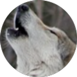 Profile photo of Smokey Waits (Smokey)