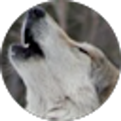 Profile photo of Smokey Waits (Smokey)
