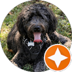 Profile photo of Donald Wohldmann