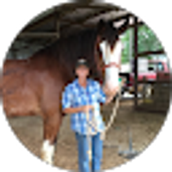 Profile photo of Lisa Sauer