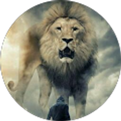 Profile photo of Angel Valentin