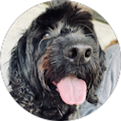 Profile photo of harper underwood