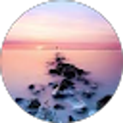 Profile photo of Backup ACC