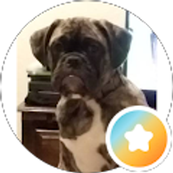 Profile photo of Eddie Pyle