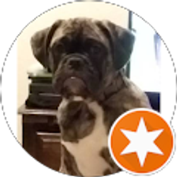 Profile photo of Eddie Pyle