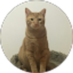 Profile photo of Gledis Bermudez