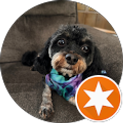 Profile photo of Karen Paolini