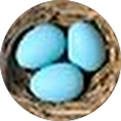 Profile photo of Giang Vu