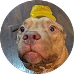 Profile photo of Adam Waisanen