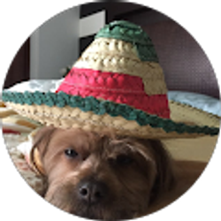 Profile photo of Jon Deleon