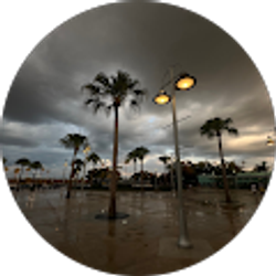 Profile photo of Jena King