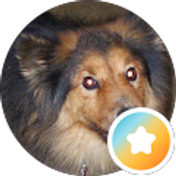 Profile photo of L nick