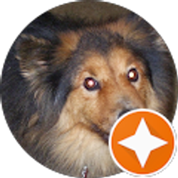 Profile photo of L C