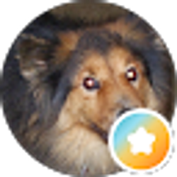 Profile photo of L nick