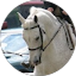 Profile photo of Betsy Jarnigan