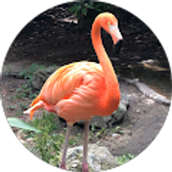 Profile photo of sienna lyons