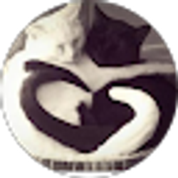 Profile photo of Mary V Blanchard