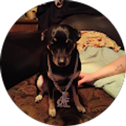 Profile photo of Chicken Dee