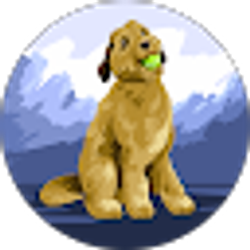 Profile photo of Marc A
