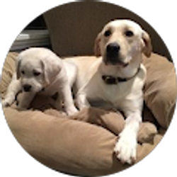 Profile photo of Clare B. Johnson