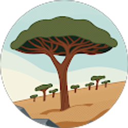 Profile photo of Nick Grasso