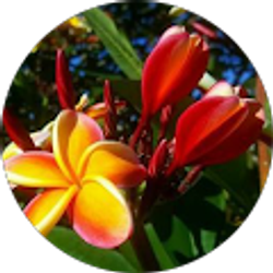 Profile photo of Laura Findlay