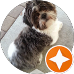 Profile photo of Alyssa Cianci