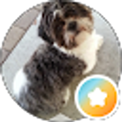 Profile photo of Alyssa Cianci