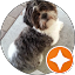 Profile photo of Alyssa Cianci