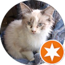 Profile photo of Falisha Case-Spoon