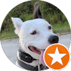 Profile photo of Dean Petersen