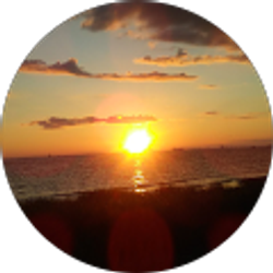 Profile photo of Sir Cardboard