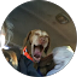 Profile photo of Deborah Bailey
