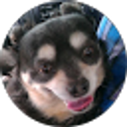 Profile photo of Don Maggard