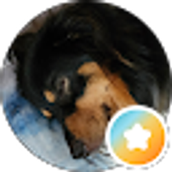 Profile photo of Kris