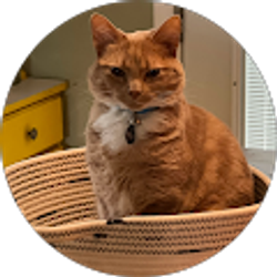 Profile photo of Carrie Heiser