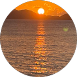 Profile photo of Robert