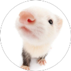 Profile photo of Cristina Rodriguez